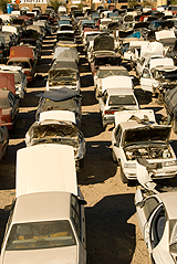 Lots of cars